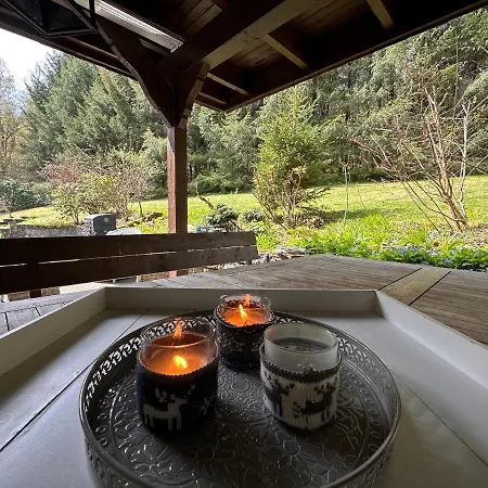 Charming Villa On The Forest In Wald 12 Guests Hugh Garden Willingen Sauerland Brilon Exterior photo
