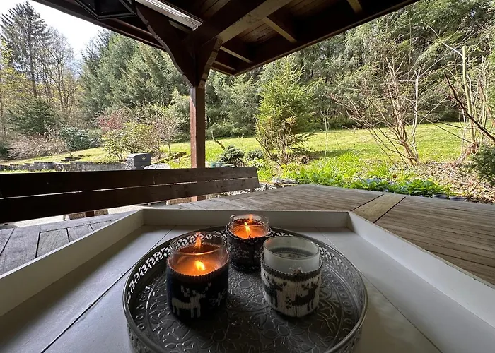 Charming Villa On The Forest In Wald 12 Guests Hugh Garden Willingen Sauerland
