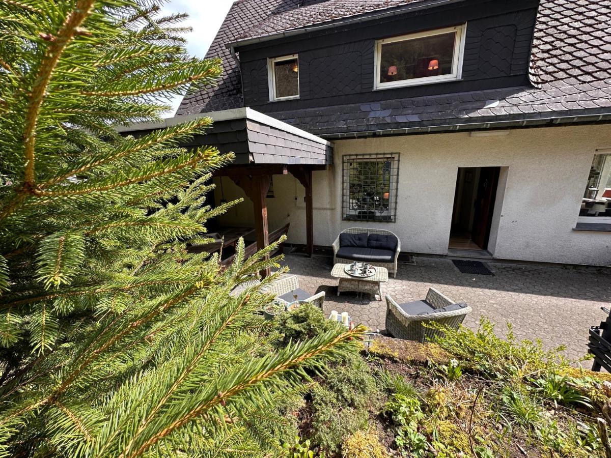 Villa Charming On The Forest In Wald 12 Guests Hugh Garden Willingen Sauerland