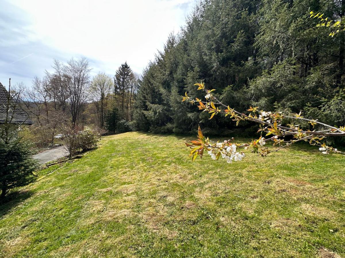 Charming On The Forest In Wald 12 Guests Hugh Garden Willingen Sauerland * Brilon