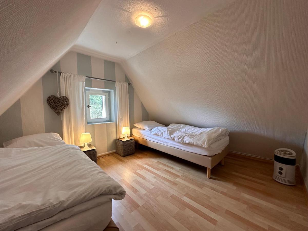 Charming On The Forest In Wald 12 Guests Hugh Garden Willingen Sauerland * Brilon
